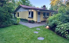 Ferienhaus im Wald